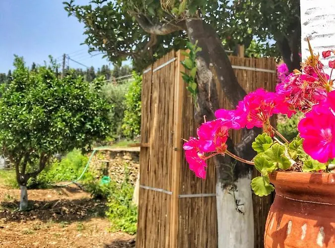 דירה The Walnut Tree - Cycladic Getaway By Explore Andros Lámira