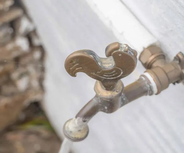 The Walnut Tree - Cycladic Getaway By Explore Andros شقة *