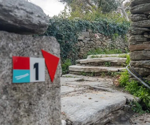 The Walnut Tree - Cycladic Getaway By Explore Andros Lámira